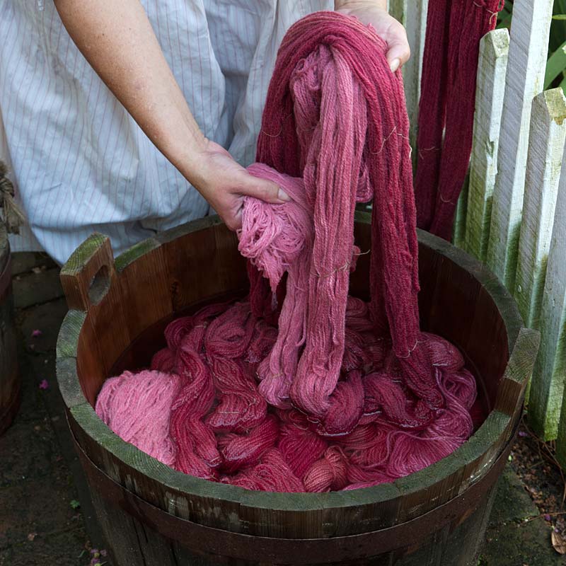 Laboratorio di tintura della lana con colori naturali