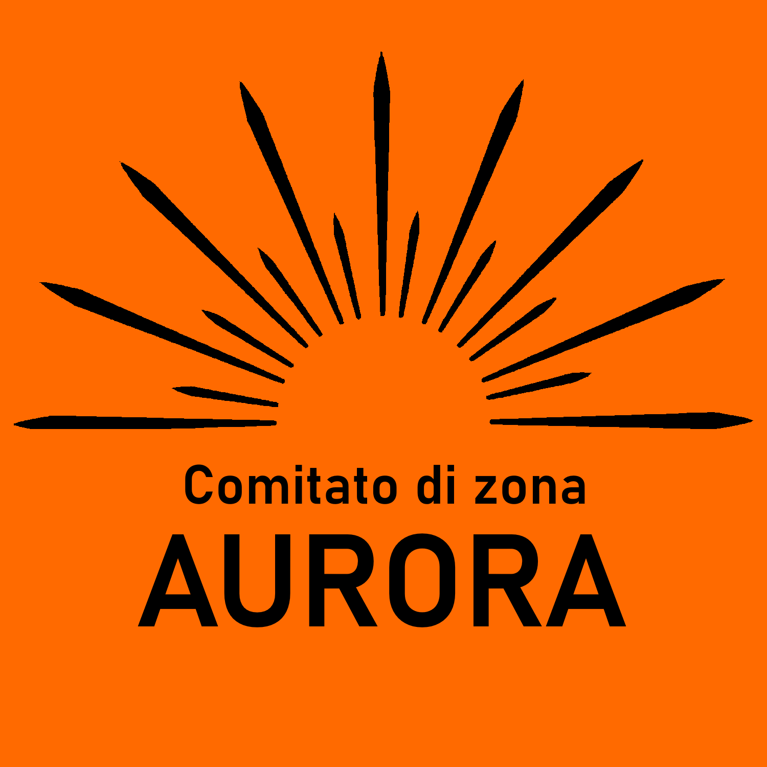 Doposcuola del comitato di zona Aurora