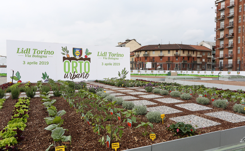 orti urbani lidl torino via bologna