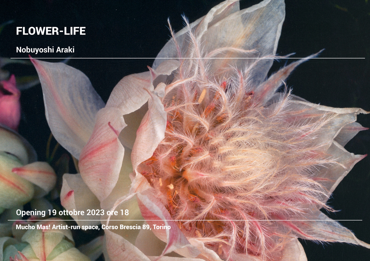 Inaugurazione mostra “Flower-Life” di Nobuyoshi Araki