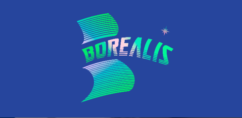 Mercatino di Natale da Borealis