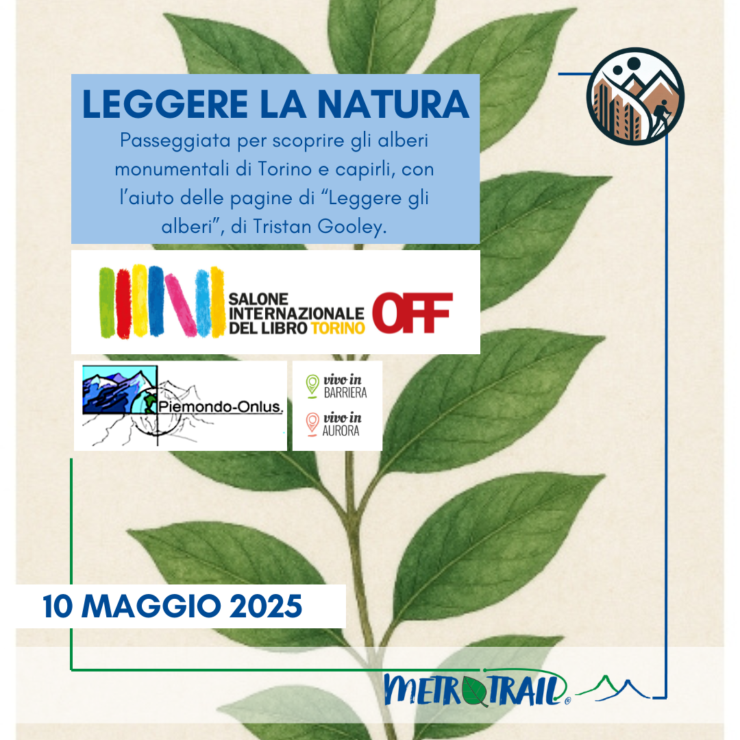 SALONE DEL LIBRO OFF Passeggiata letteraria Leggere gli alberi monumentali in Aurora